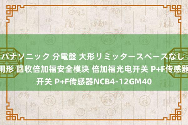 パナソニック 分電盤 大形リミッタースペースなし 露出・半埋込両用形 回收倍加福安全模块 倍加福光电开关 P+F传感器NCB4-12GM40