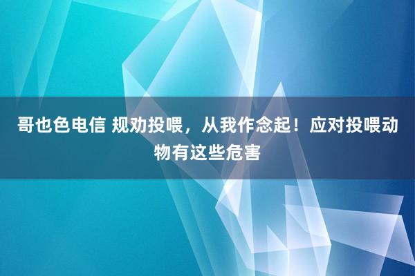 哥也色电信 规劝投喂，从我作念起！应对投喂动物有这些危害