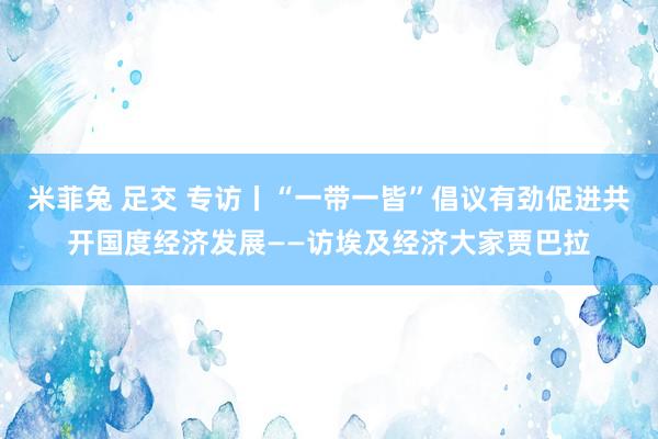 米菲兔 足交 专访丨“一带一皆”倡议有劲促进共开国度经济发展——访埃及经济大家贾巴拉