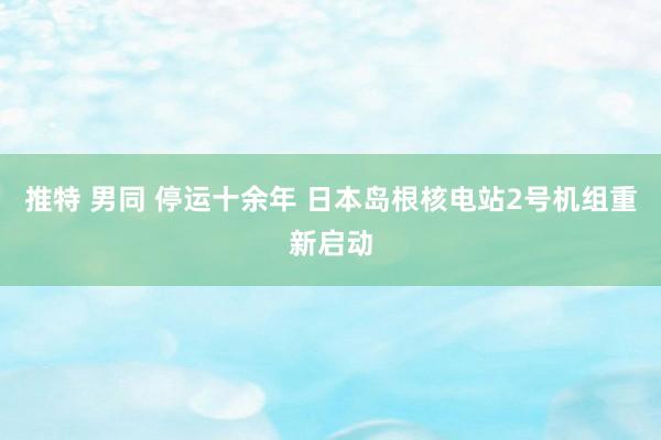 推特 男同 停运十余年 日本岛根核电站2号机组重新启动