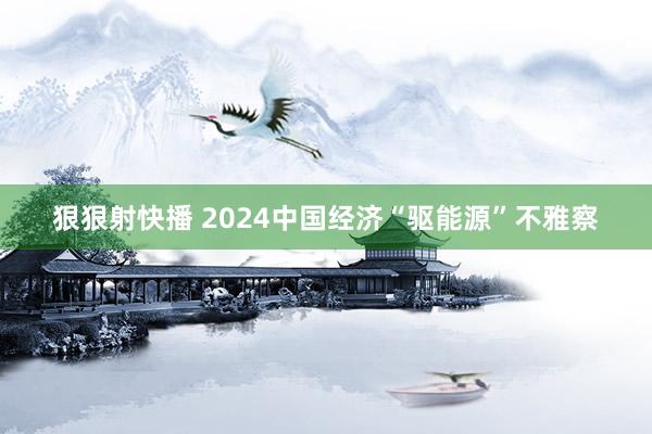 狠狠射快播 2024中国经济“驱能源”不雅察