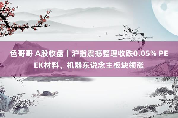 色哥哥 A股收盘｜沪指震撼整理收跌0.05% PEEK材料、机器东说念主板块领涨