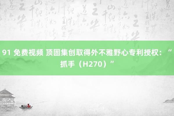 91 免费视频 顶固集创取得外不雅野心专利授权：“抓手（H270）”