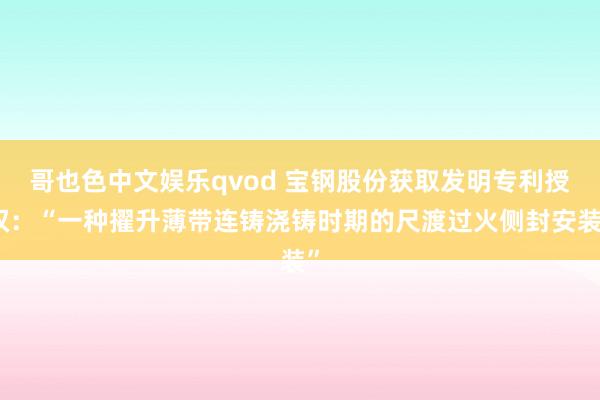 哥也色中文娱乐qvod 宝钢股份获取发明专利授权：“一种擢升薄带连铸浇铸时期的尺渡过火侧封安装”