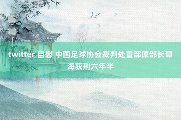 twitter 自慰 中国足球协会裁判处置部原部长谭海获刑六年半