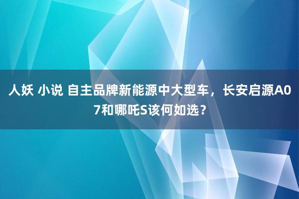 人妖 小说 自主品牌新能源中大型车，长安启源A07和哪吒S该何如选？