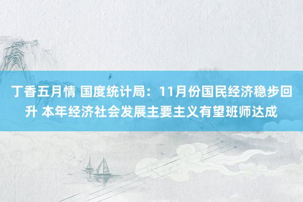 丁香五月情 国度统计局：11月份国民经济稳步回升 本年经济社会发展主要主义有望班师达成