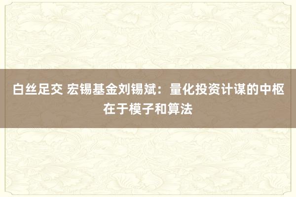 白丝足交 宏锡基金刘锡斌：量化投资计谋的中枢在于模子和算法