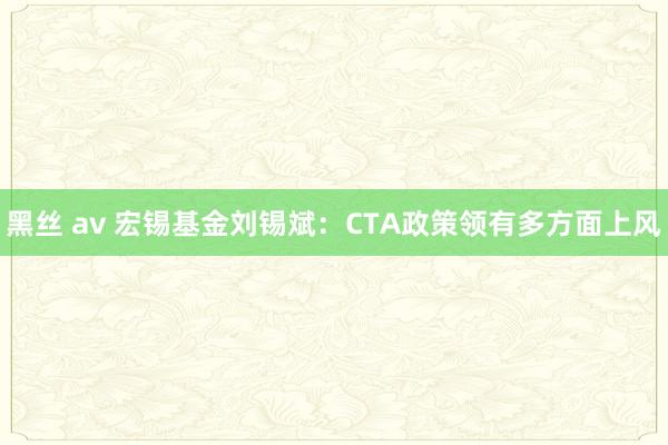 黑丝 av 宏锡基金刘锡斌：CTA政策领有多方面上风