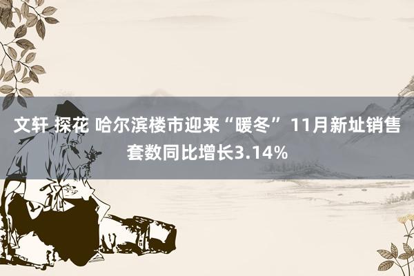 文轩 探花 哈尔滨楼市迎来“暖冬” 11月新址销售套数同比增长3.14%