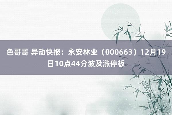 色哥哥 异动快报：永安林业（000663）12月19日10点44分波及涨停板