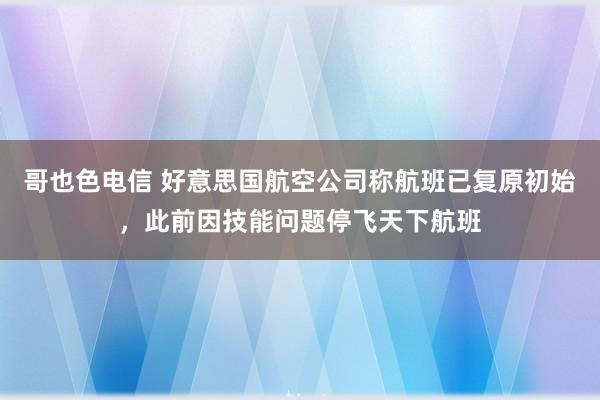 哥也色电信 好意思国航空公司称航班已复原初始，此前因技能问题停飞天下航班