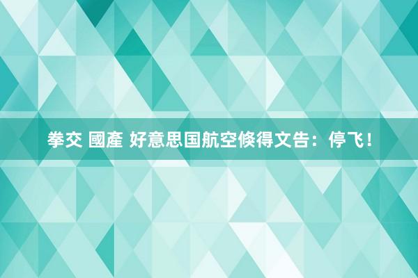 拳交 國產 好意思国航空倏得文告：停飞！