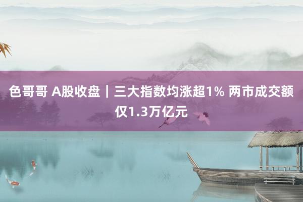 色哥哥 A股收盘｜三大指数均涨超1% 两市成交额仅1.3万亿元