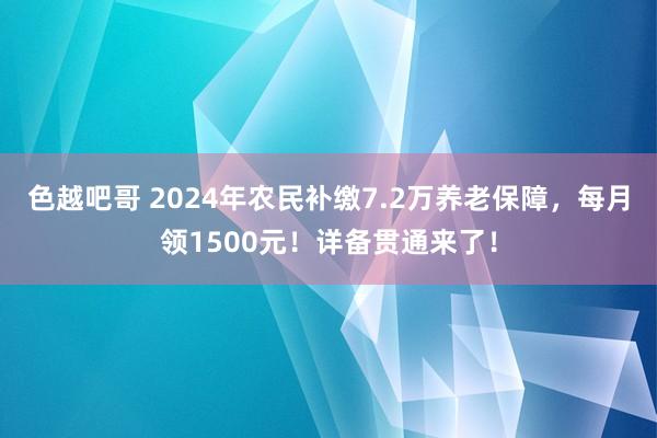 色越吧哥 2024年农民补缴7.2万养老保障，每月领1500元！详备贯通来了！