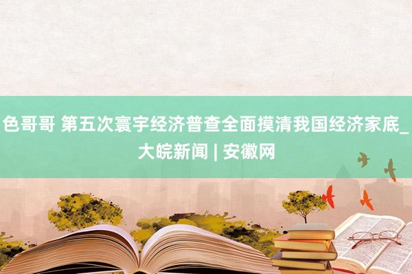 色哥哥 第五次寰宇经济普查全面摸清我国经济家底_大皖新闻 | 安徽网