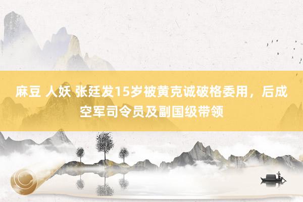 麻豆 人妖 张廷发15岁被黄克诚破格委用，后成空军司令员及副国级带领