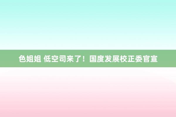 色姐姐 低空司来了！国度发展校正委官宣