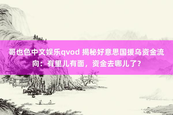 哥也色中文娱乐qvod 揭秘好意思国援乌资金流向：有里儿有面，资金去哪儿了？