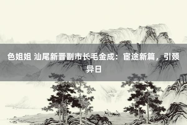 色姐姐 汕尾新晋副市长毛金成：宦途新篇，引颈异日