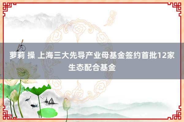 萝莉 操 上海三大先导产业母基金签约首批12家生态配合基金