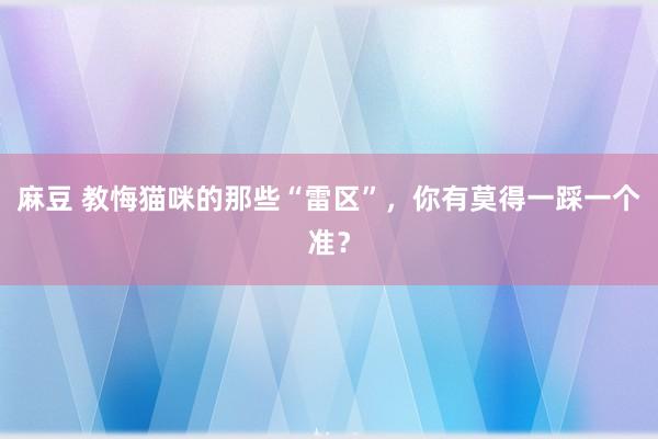 麻豆 教悔猫咪的那些“雷区”，你有莫得一踩一个准？