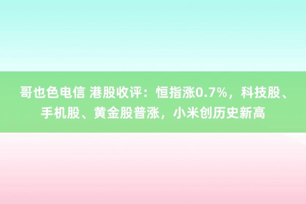 哥也色电信 港股收评：恒指涨0.7%，科技股、手机股、黄金股普涨，小米创历史新高