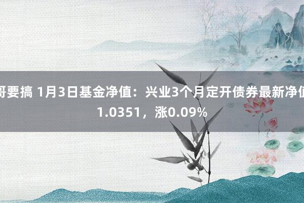 哥要搞 1月3日基金净值：兴业3个月定开债券最新净值1.0351，涨0.09%