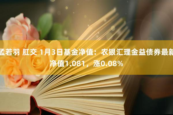 孟若羽 肛交 1月3日基金净值：农银汇理金益债券最新净值1.081，涨0.08%