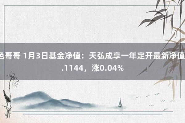 色哥哥 1月3日基金净值：天弘成享一年定开最新净值1.1144，涨0.04%