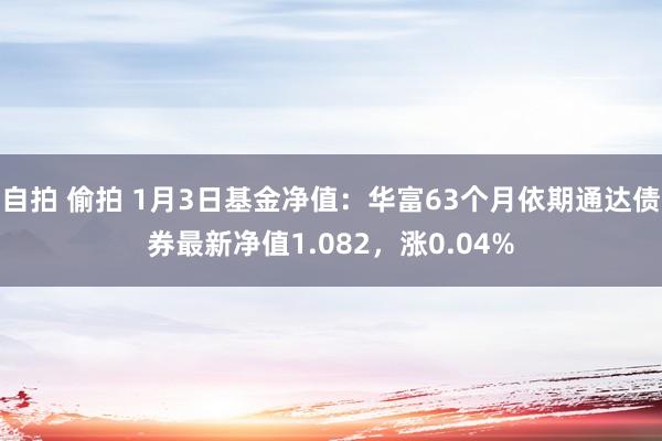 自拍 偷拍 1月3日基金净值：华富63个月依期通达债券最新净值1.082，涨0.04%