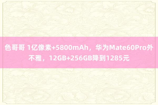 色哥哥 1亿像素+5800mAh，华为Mate60Pro外不雅，12GB+256GB降到1285元