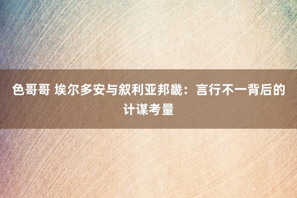 色哥哥 埃尔多安与叙利亚邦畿：言行不一背后的计谋考量