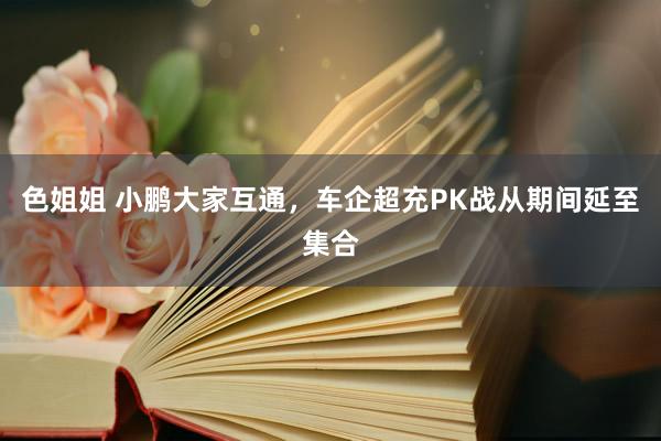 色姐姐 小鹏大家互通，车企超充PK战从期间延至集合