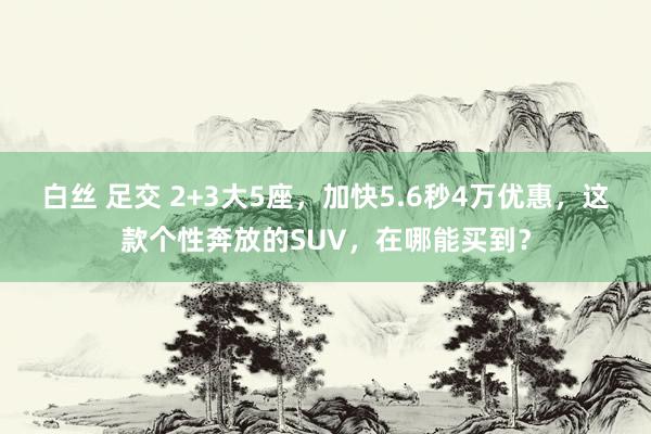 白丝 足交 2+3大5座，加快5.6秒4万优惠，这款个性奔放的SUV，在哪能买到？