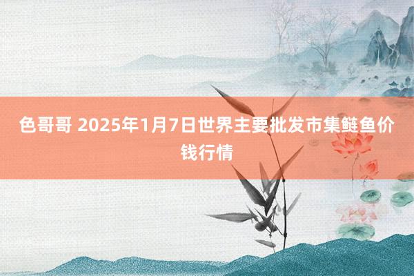 色哥哥 2025年1月7日世界主要批发市集鲢鱼价钱行情