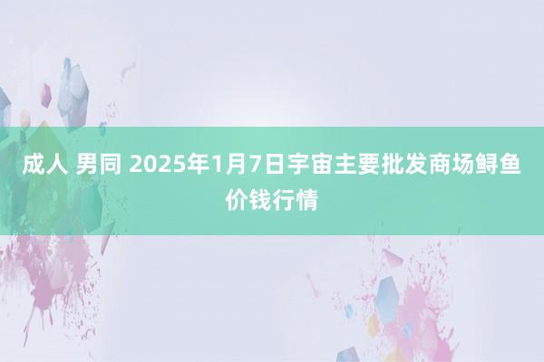 成人 男同 2025年1月7日宇宙主要批发商场鲟鱼价钱行情