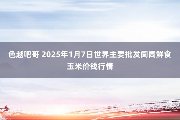 色越吧哥 2025年1月7日世界主要批发阛阓鲜食玉米价钱行情