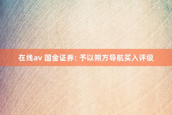 在线av 国金证券: 予以朔方导航买入评级