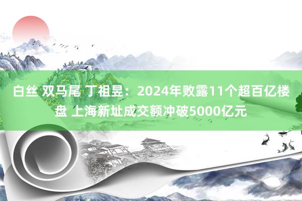 白丝 双马尾 丁祖昱：2024年败露11个超百亿楼盘 上海新址成交额冲破5000亿元