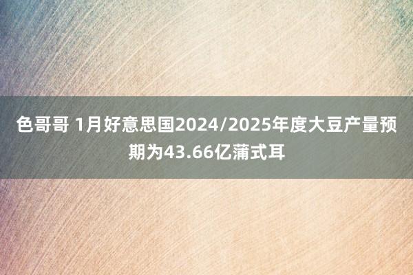 色哥哥 1月好意思国2024/2025年度大豆产量预期为43.66亿蒲式耳