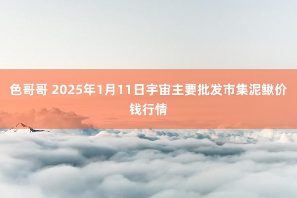 色哥哥 2025年1月11日宇宙主要批发市集泥鳅价钱行情