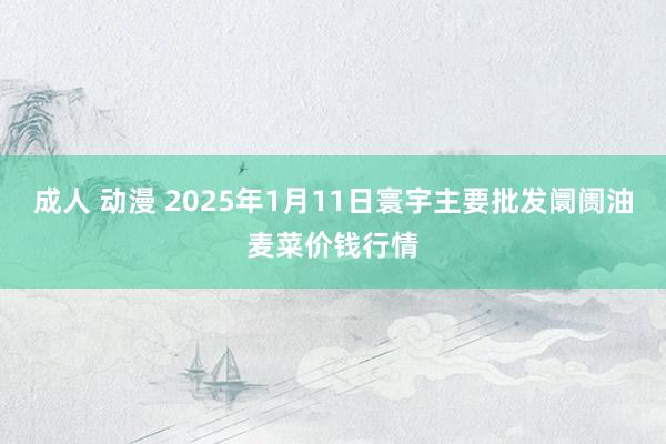 成人 动漫 2025年1月11日寰宇主要批发阛阓油麦菜价钱行情