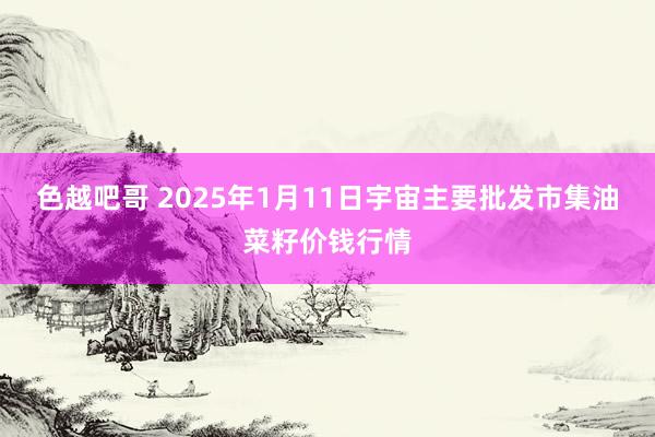 色越吧哥 2025年1月11日宇宙主要批发市集油菜籽价钱行情