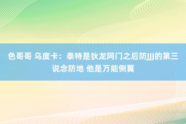 色哥哥 乌度卡：泰特是狄龙阿门之后防JJJ的第三说念防地 他是万能侧翼