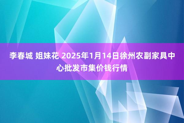 李春城 姐妹花 2025年1月14日徐州农副家具中心批发市集价钱行情