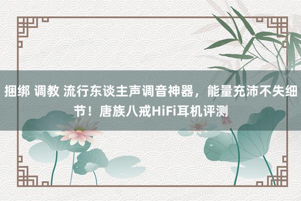 捆绑 调教 流行东谈主声调音神器，能量充沛不失细节！唐族八戒HiFi耳机评测