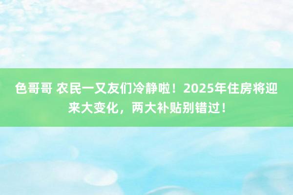 色哥哥 农民一又友们冷静啦！2025年住房将迎来大变化，两大补贴别错过！