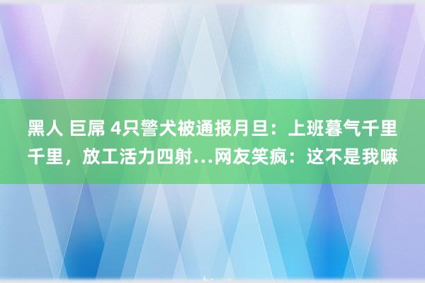 黑人 巨屌 4只警犬被通报月旦：上班暮气千里千里，放工活力四射…网友笑疯：这不是我嘛