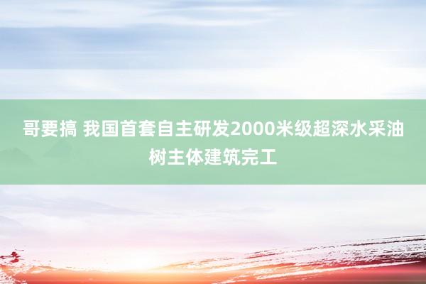 哥要搞 我国首套自主研发2000米级超深水采油树主体建筑完工